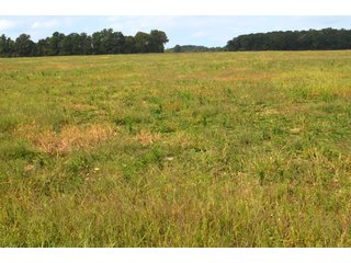 Dekalb County, Indiana Farmland - MAJOR LAND AUCTION - 516+/- ACRES OFFERED IN 18 TRACTS OR COMBINATIONS IN DEKALB COUNTY, INDIANA